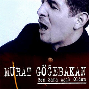 Ben Sana Aşık Oldum cover