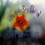 Little High Sky Show Albumcover