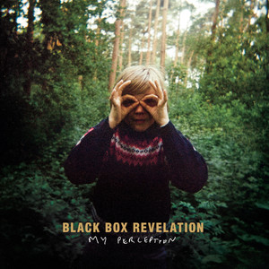 My Perception cover