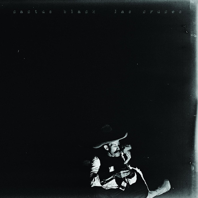 Cactus Black Photo