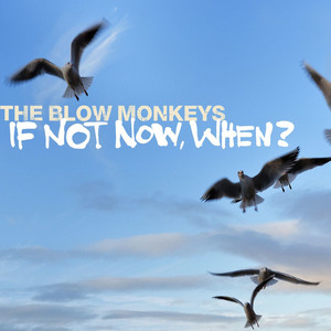 If Not Now, When? cover