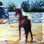 Water-Wasser Albumcover