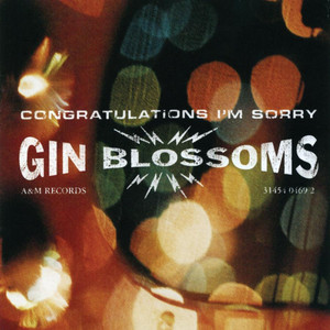 Congratulations I'm Sorry album