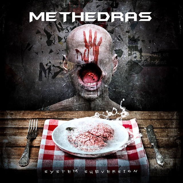 System Subversion cover