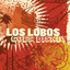 Los Lobos Goes Disney cover