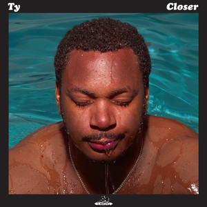 Closer cover