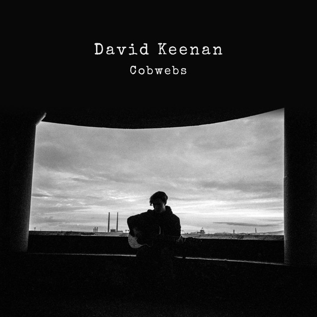 Cobwebs cover