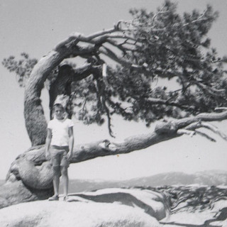 Jeff Harrington Photo