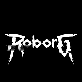 ROBORG Photo