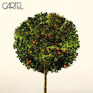 Cartel cover