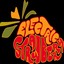 Electric Strawberry