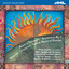 David Bedford: 12 Hours of Sunset cover