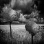 Ambient Meditation Rain Sounds: Focus, Inner Peace, Zen, Relaxation Noise cover
