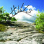 Hills Albumcover