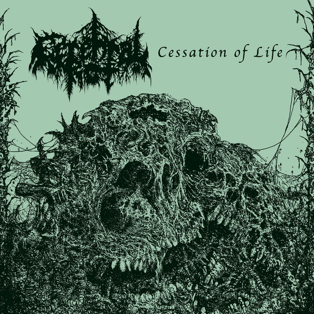 Cerebral Rot Photo