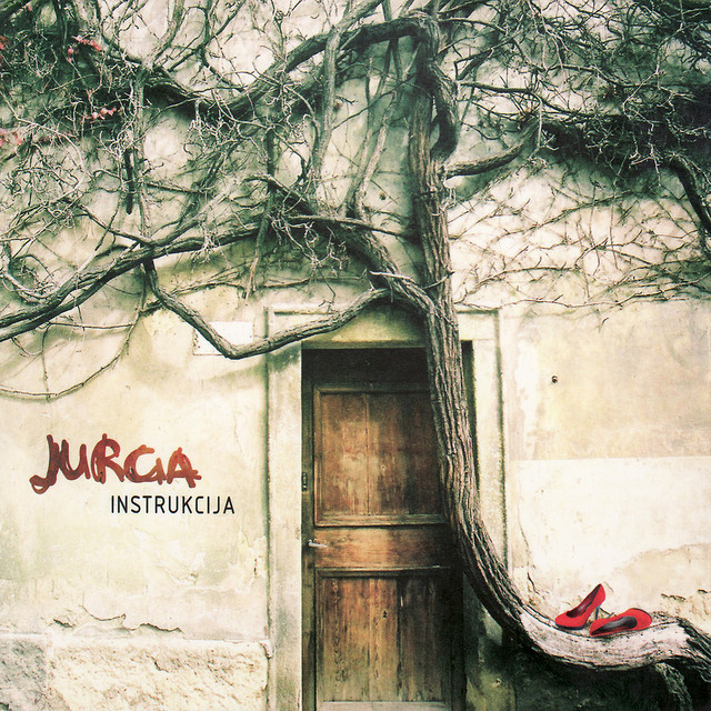 Instrukcija cover