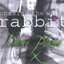 Chasing the White Rabbit! Albumcover