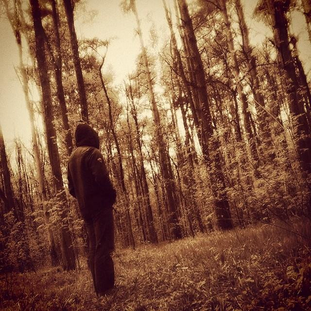 Skyforest photo