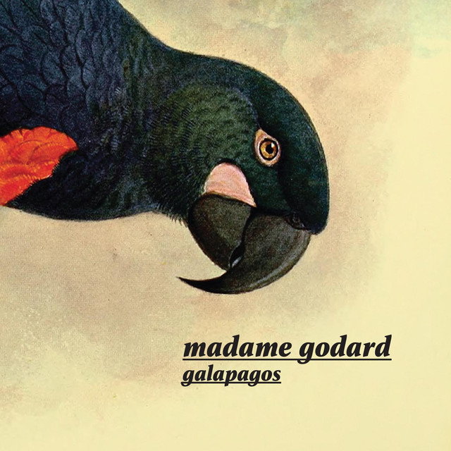 Madame Godard Photo