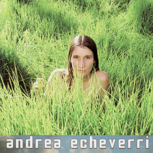 Amortiguador cover