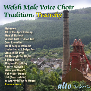 Voice Male cover