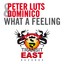 Peter Luts & Dominico - What A Feeling