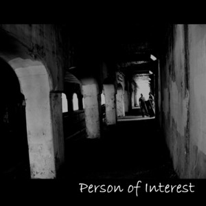 Person Of Interest