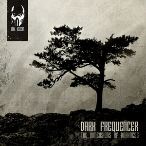 Dark Frequencer Photo