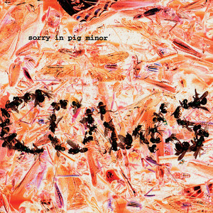 Sorry in Pig Minor cover