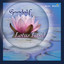Lotus Land cover