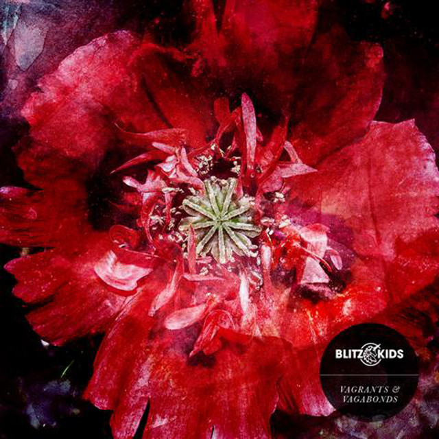 Vagrants & Vagabonds cover
