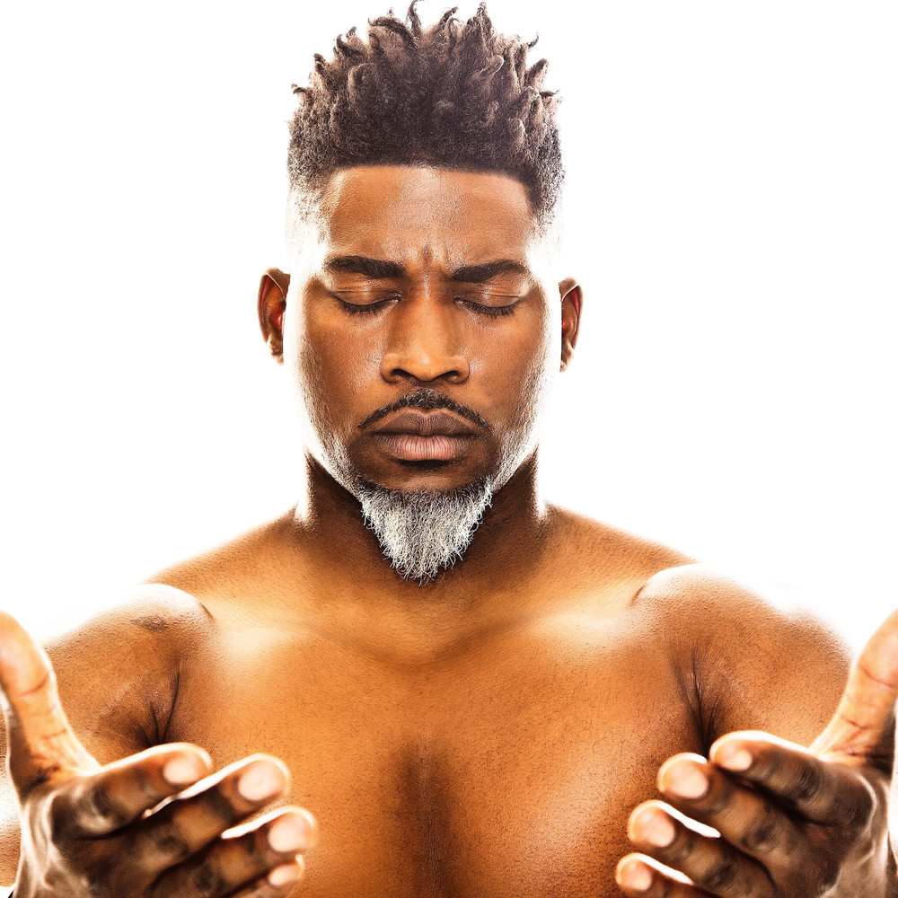 David Banner image