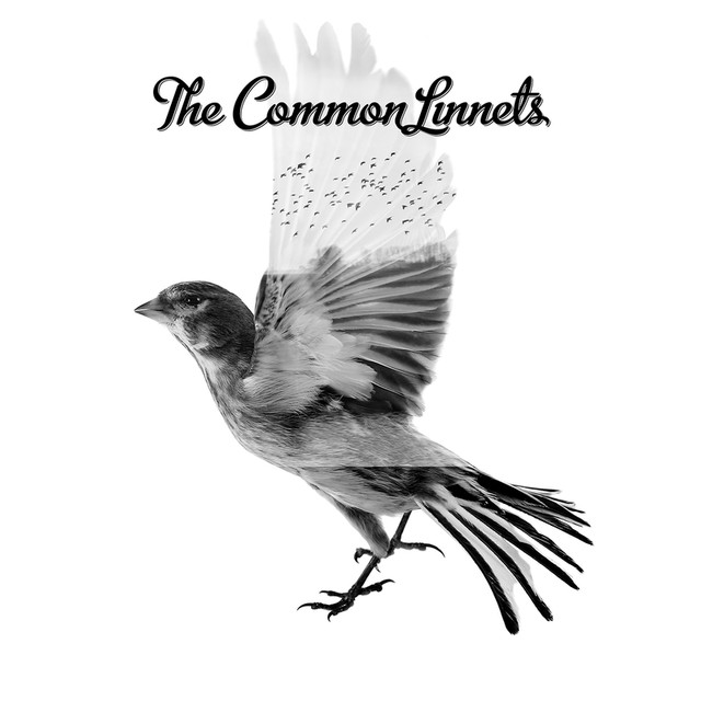 The Common Linnets cover