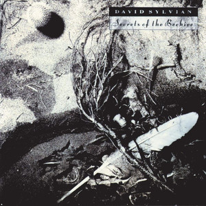 Secrets of the Beehive album