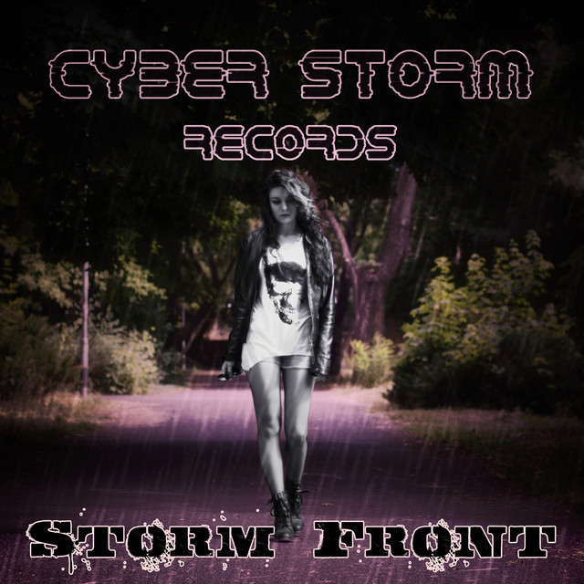 Storm Front Albumcover