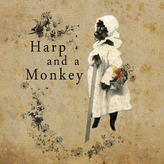 Harp and a Monkey photo