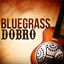 Bluegrass Dobro cover