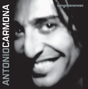 Se amarra el pelo cover