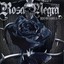 Rn19732013 Albumcover