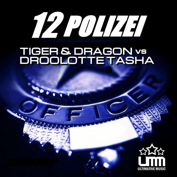 Tiger & Dragon Photo
