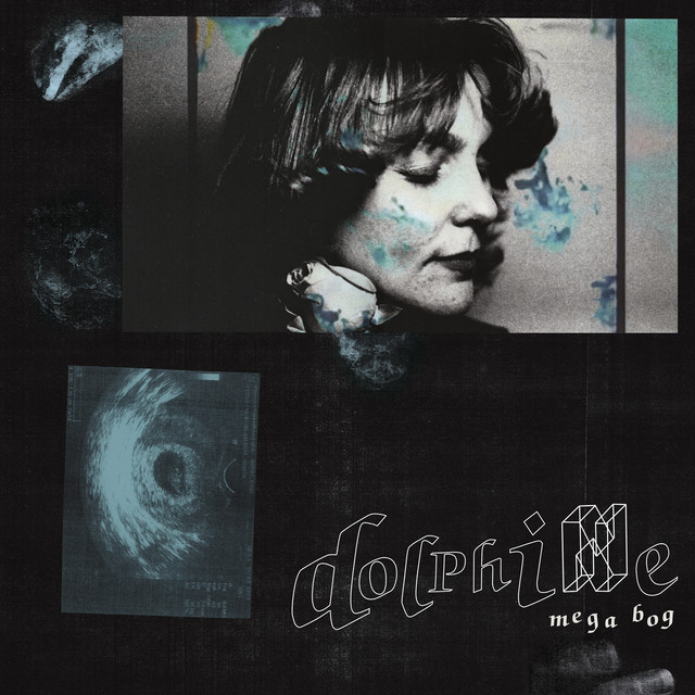 Dolphine cover