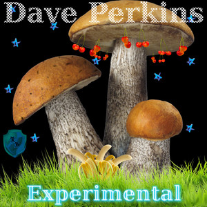 Experimental Albumcover