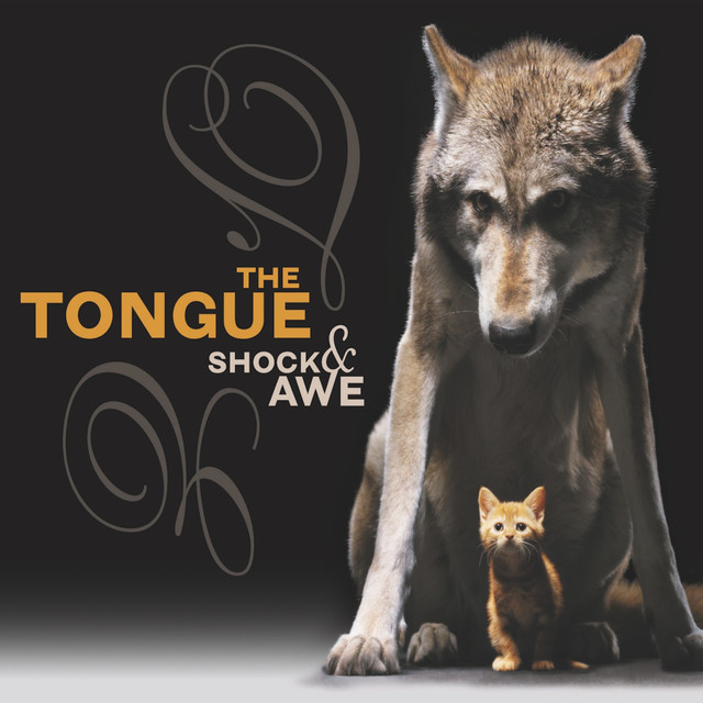 Shock And Awe cover