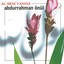 Al Beni Yanına Albumcover