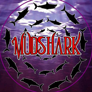 Mudshark Photo