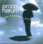 The Prodigal Stranger cover