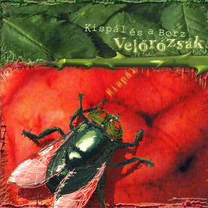 Velőrózsák cover