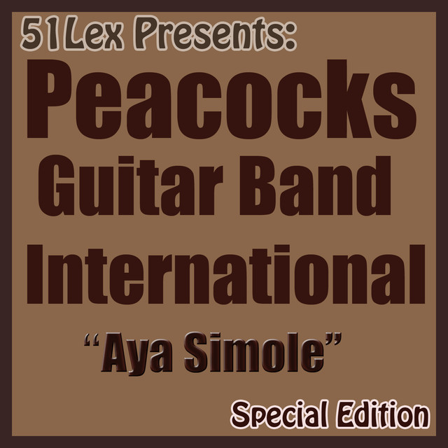 Peacocks Guitar Band Photo