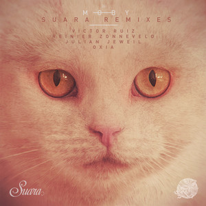Suara Remixes album