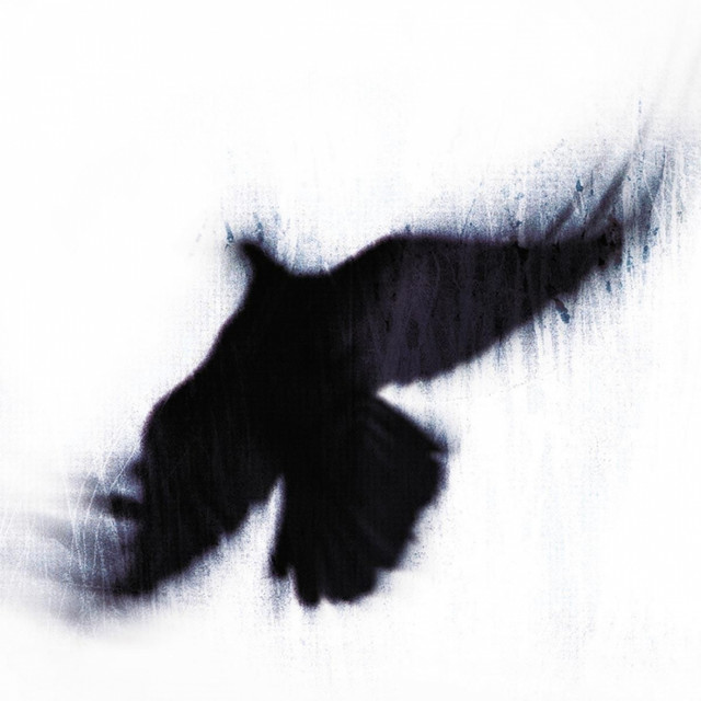 The Fallen Host cover